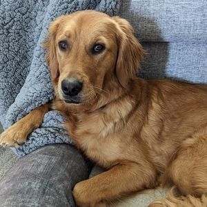 Meet your Posher, Soleil